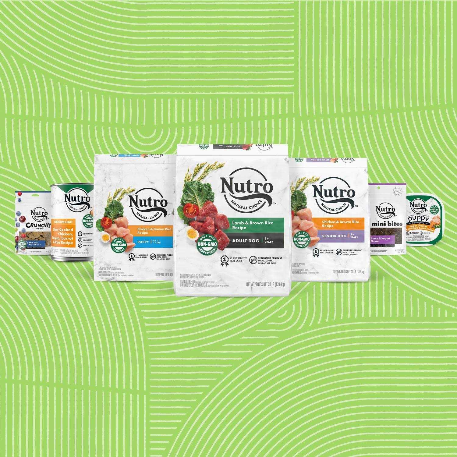 Nutro So Simple Meal Complement Wet Dog Food Chicken & Duck Recipe in Bone Broth - Healthber