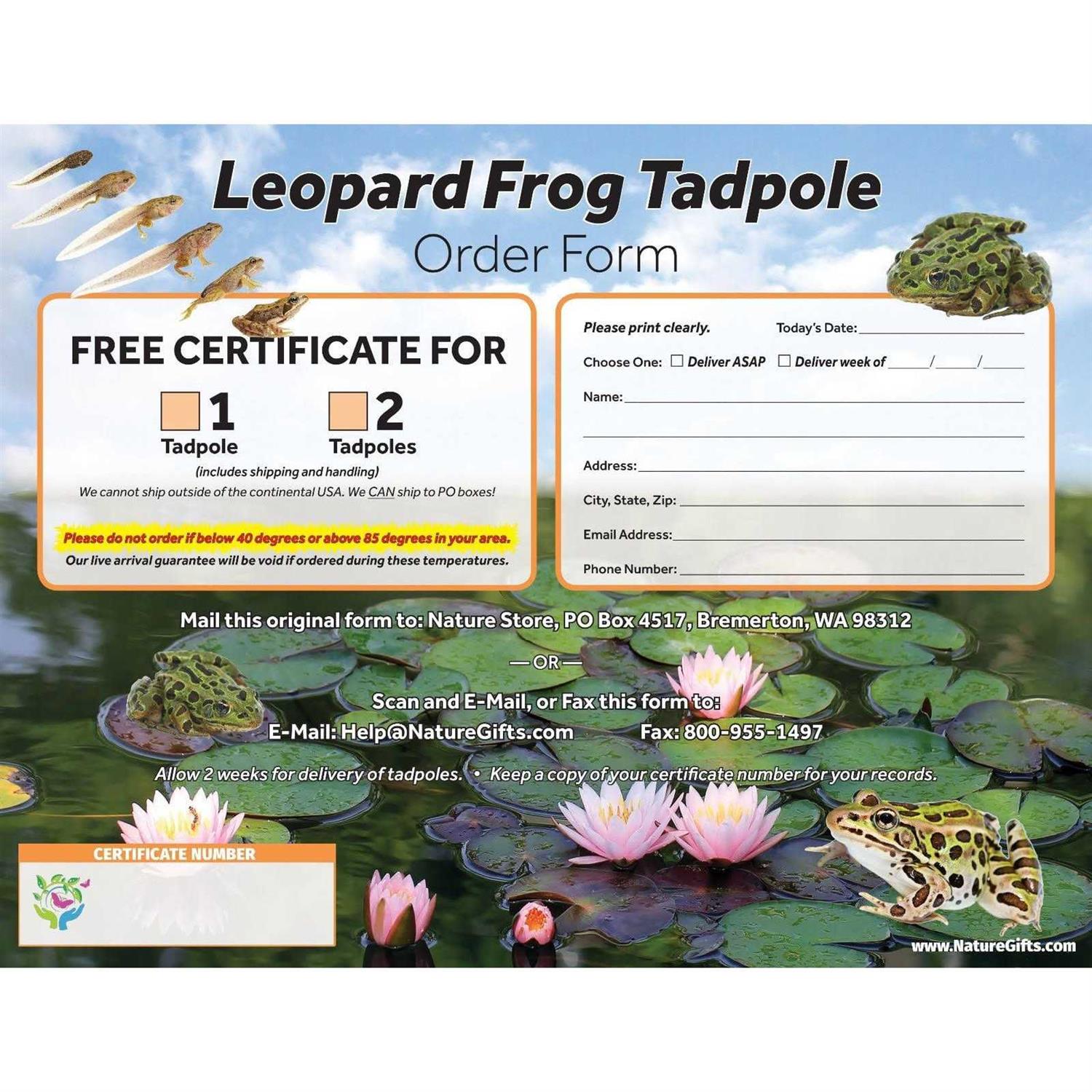 Frog Growing Kit 1-Gallon Habitat with 1 Free Tadpole - Healthber