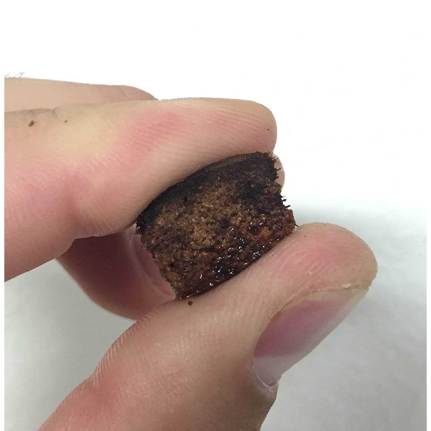 Reptichip Coconut Substrate for Reptiles Loose Coarse Coconut Husk Chip Reptile Bedding - Healthber