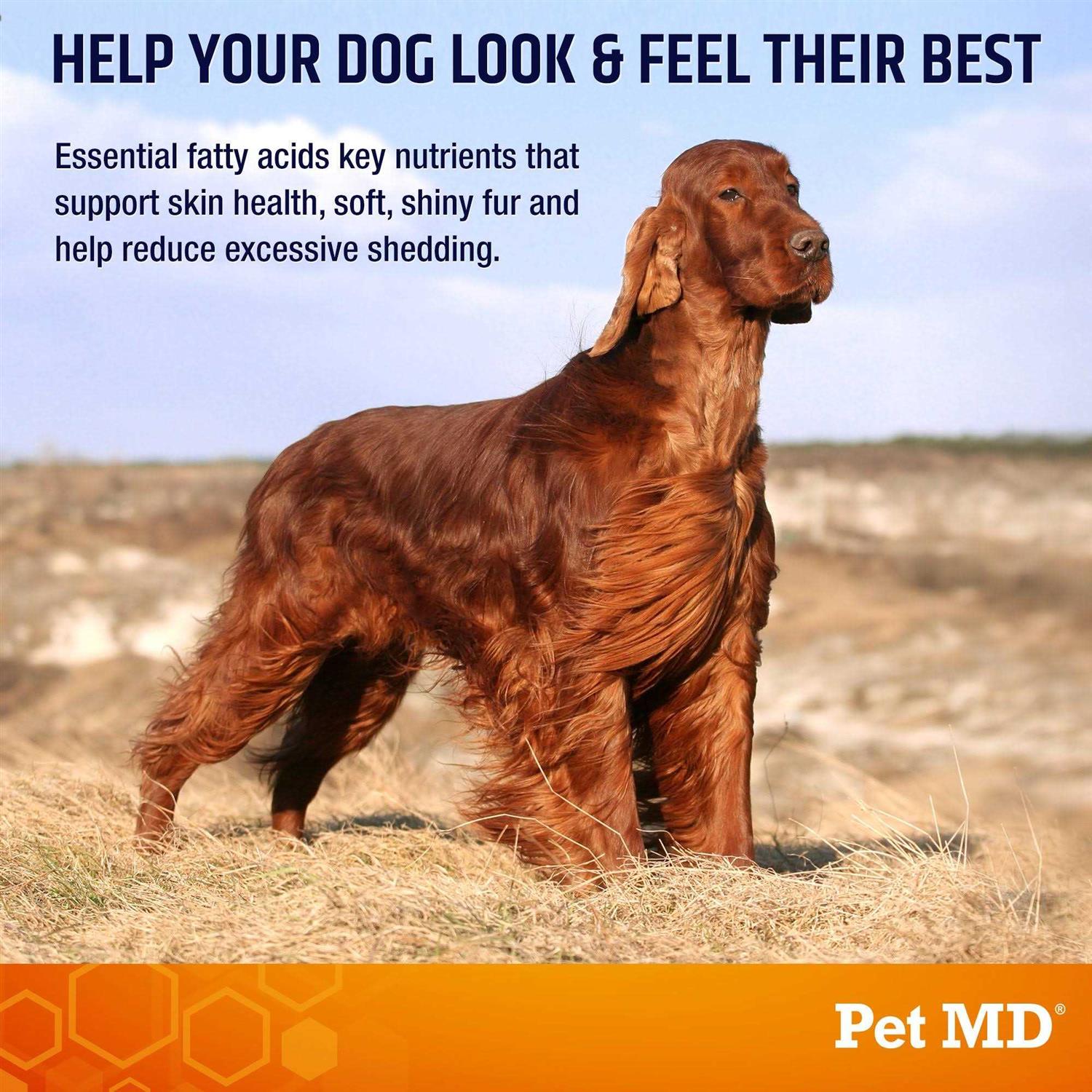 Pet MD Salmon Omega Soft Chew Bites for Dogs 120ct - Healthber