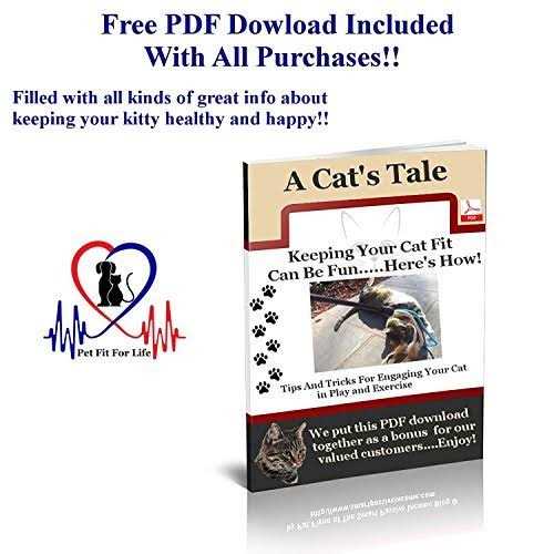 Pet Fit For Life Cat Wand Toy 5-Piece Worm Teaser & Exerciser - Healthber
