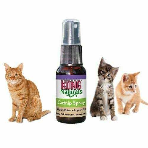 Kong Catnip Spray - Healthber