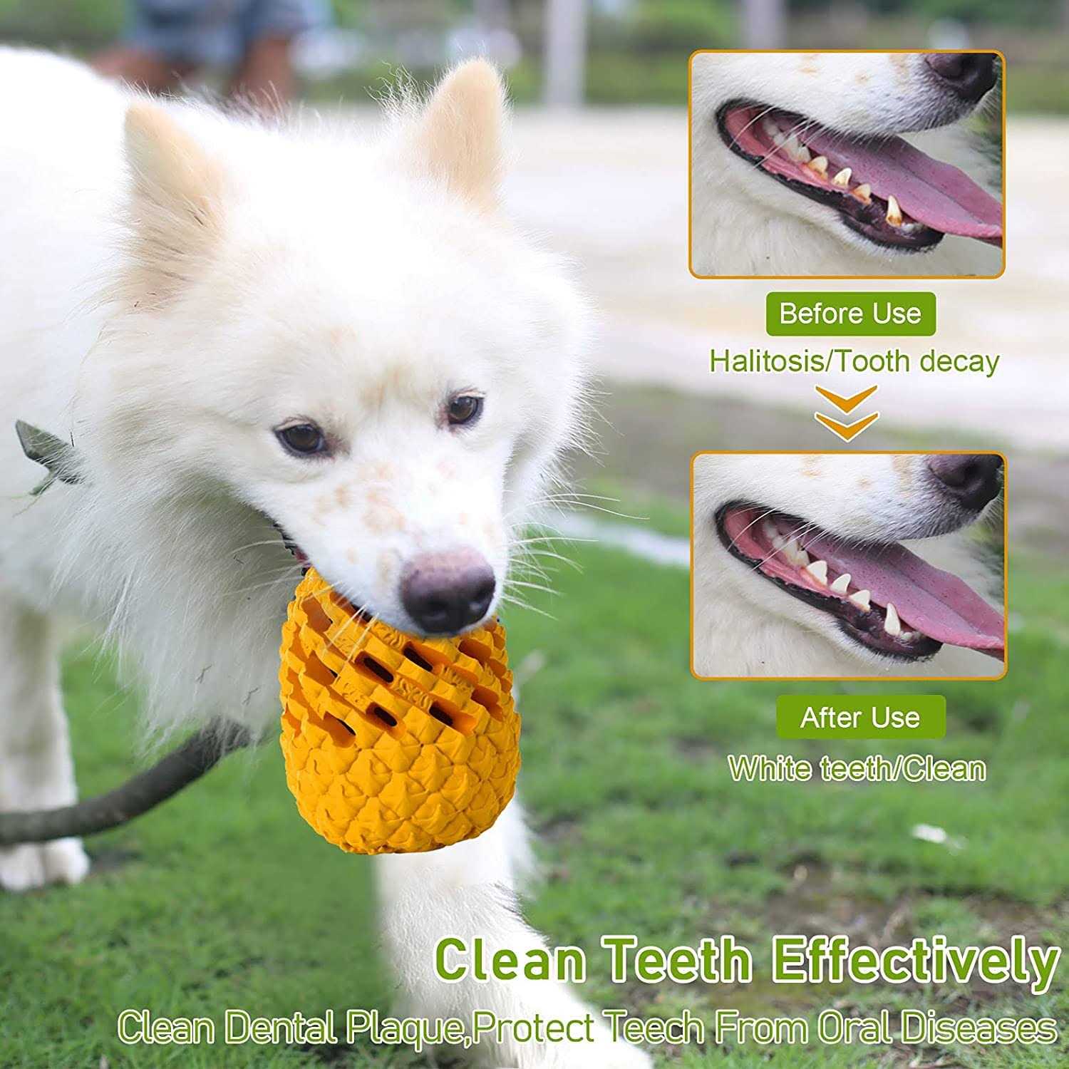 M.C.works Dog Chew Toys for Aggressive Chewer Tough Dog Dental Chews Toy - Healthber