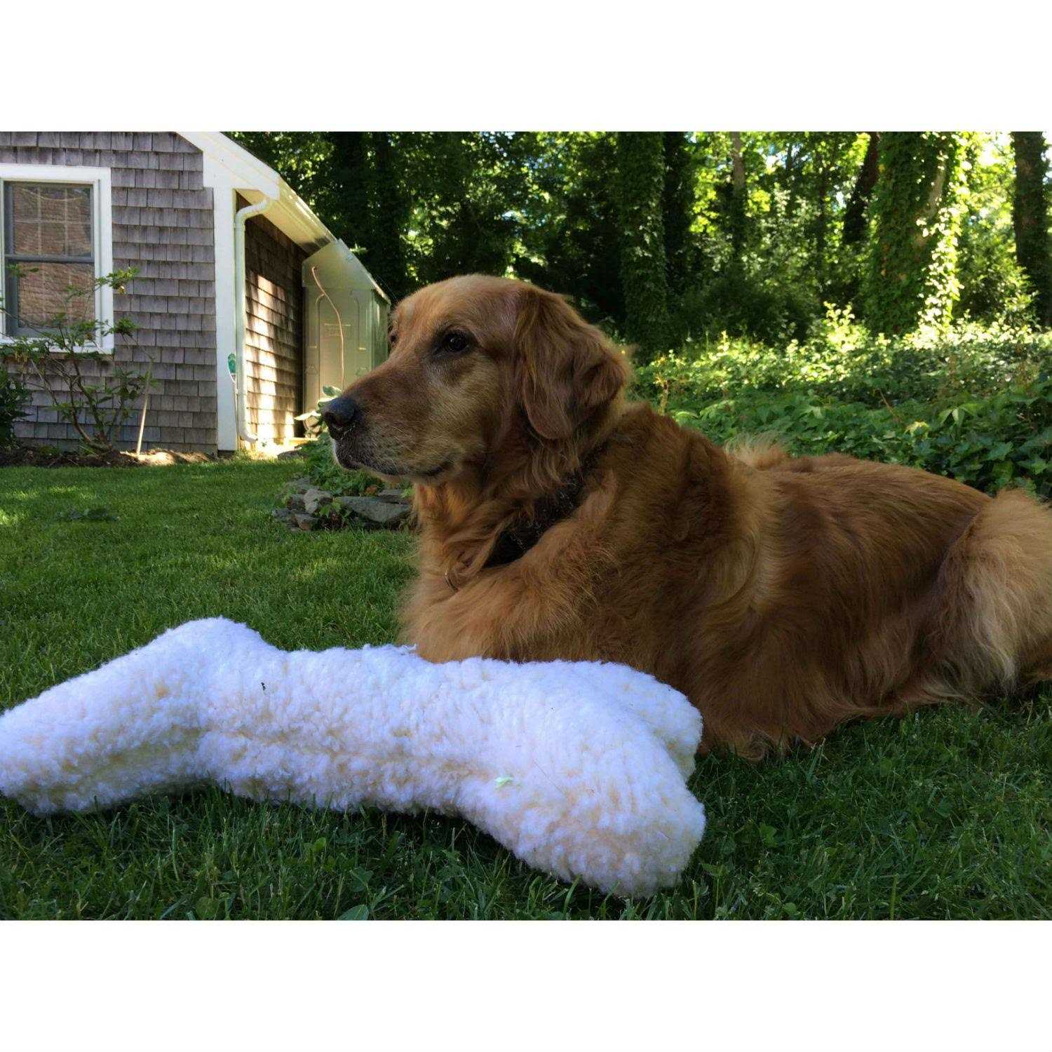 Hugglehounds HuggleFleece Bone with Invincible Squeaker Dog Toy - Healthber