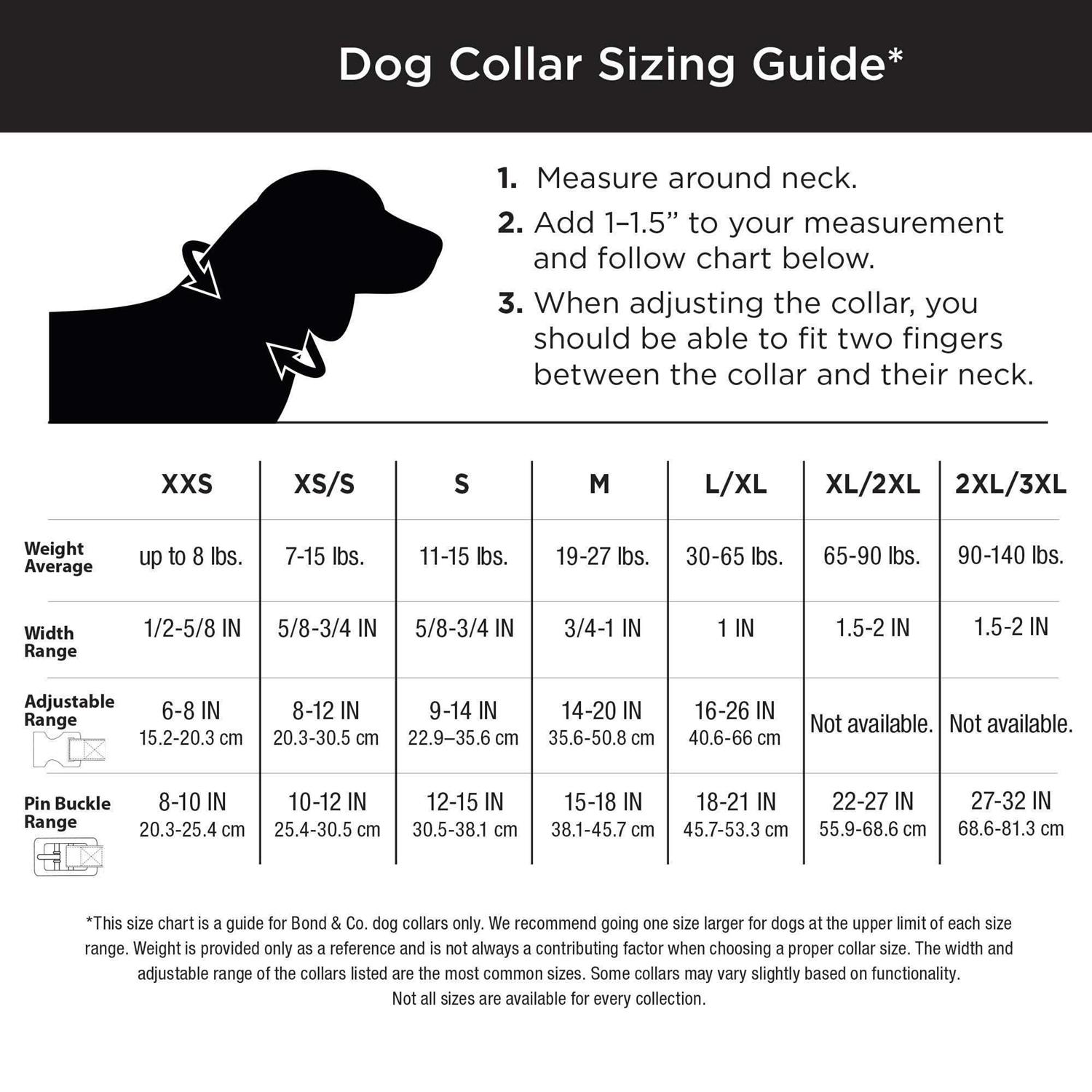 EveryYay Martingale Dog Collar - Healthber