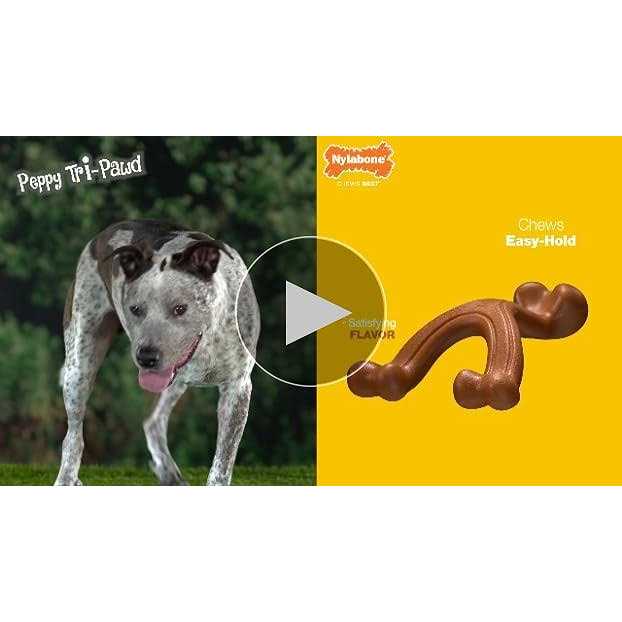 Nylabone Dura Chew Triple Pack - Healthber