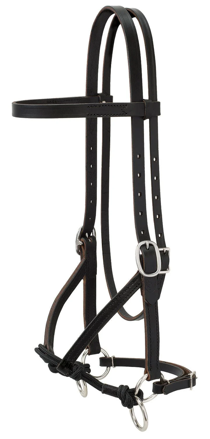 Justin Dunn Bitless Bridle - Healthber