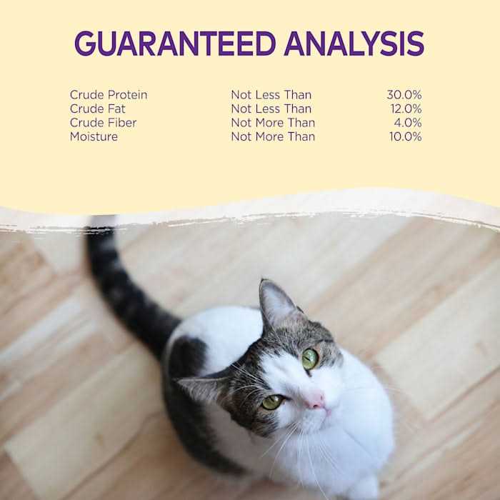 Wellness Kittles Cat Treats - Healthber