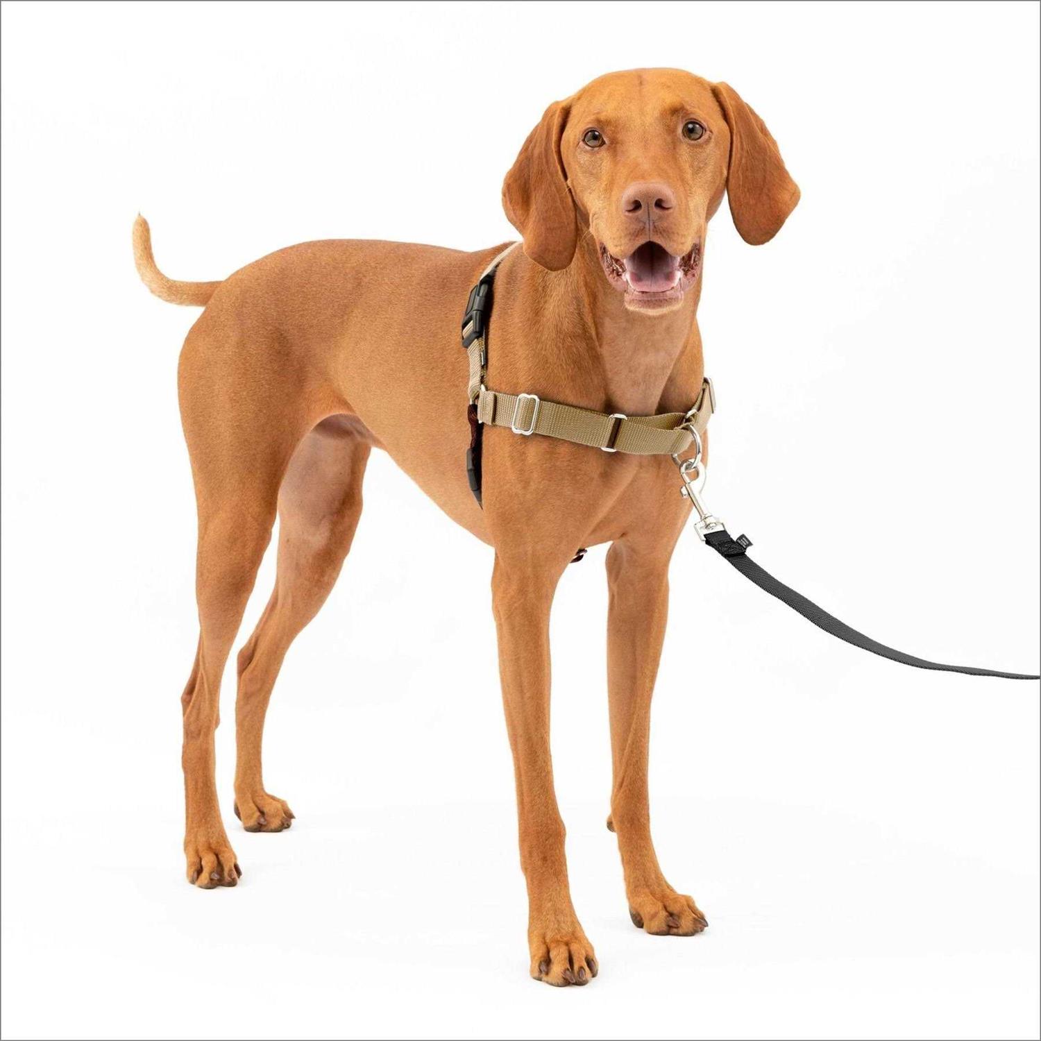 PetSafe Easy Walk Dog Harness - Healthber