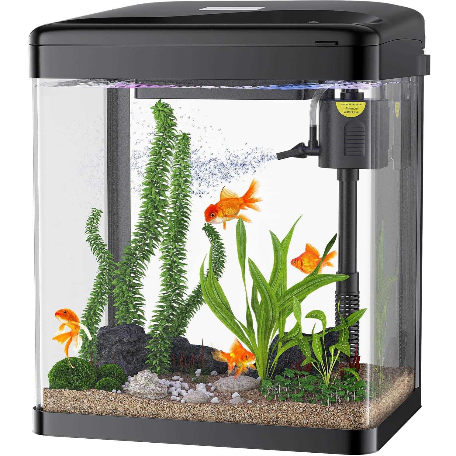 PONDON Betta Fish Tank, 2 Gallon Glass Aquarium, 3 in 1 Fish Tank with Filter and Light - Healthber