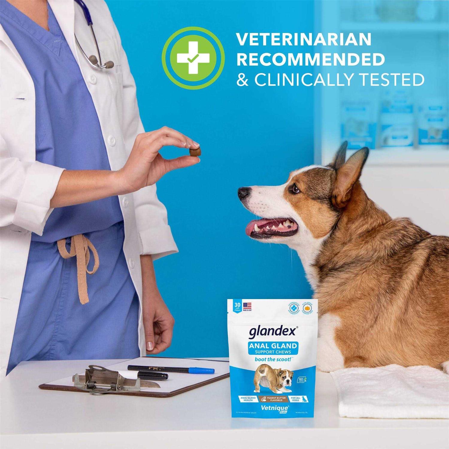 Glandex Anal Gland Soft Chews Supplement for Dogs - Healthber