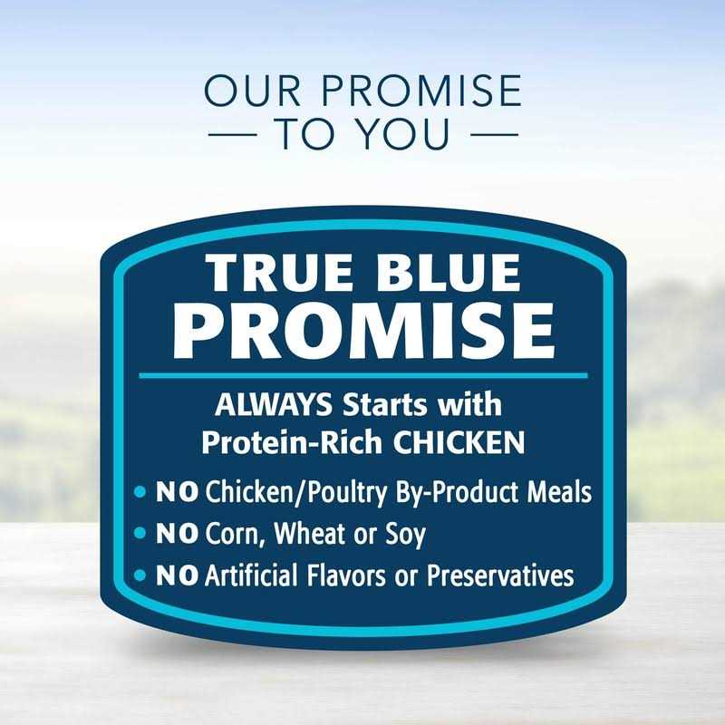 Blue Buffalo Homestyle Recipe Senior Dog Food Chicken Dinner - Healthber