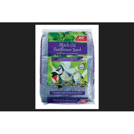 Ace Songbird Black Oil Sunflower Seed Wild Bird Food - Healthber