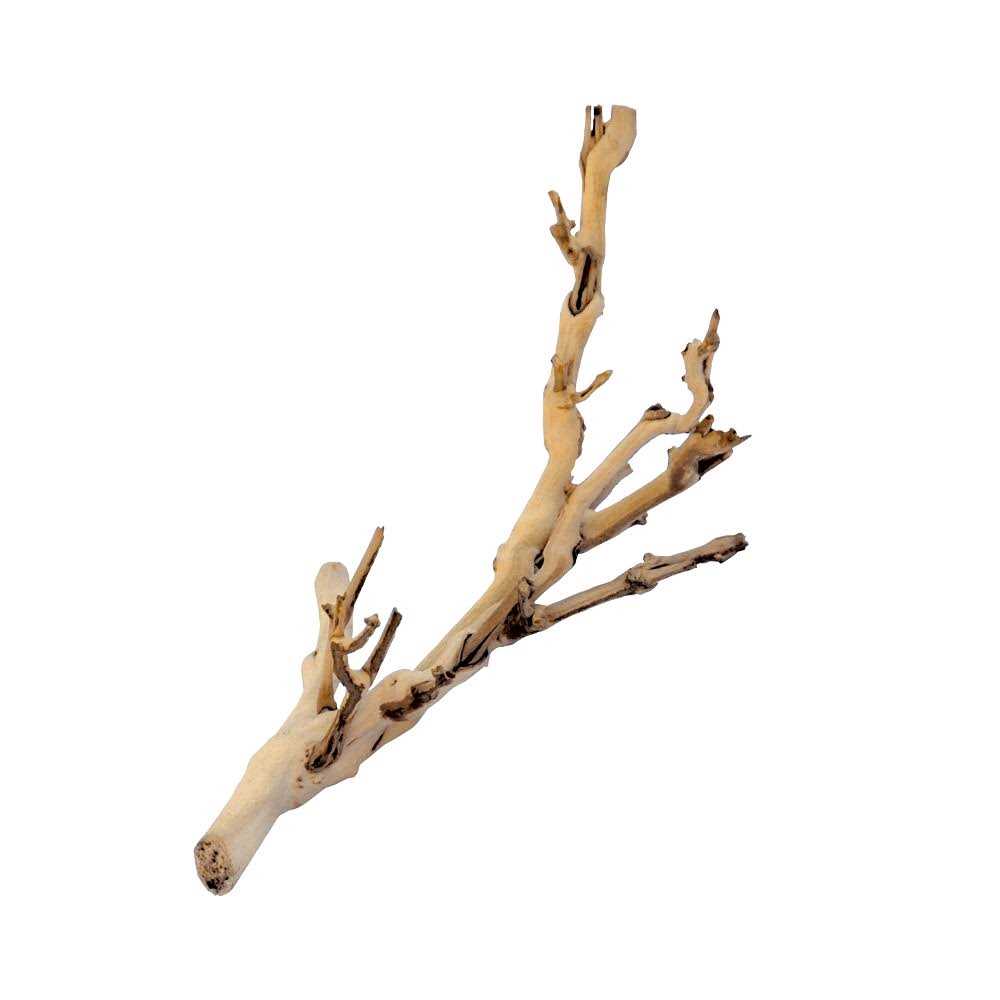 Exo Terra Forest Branch - Healthber