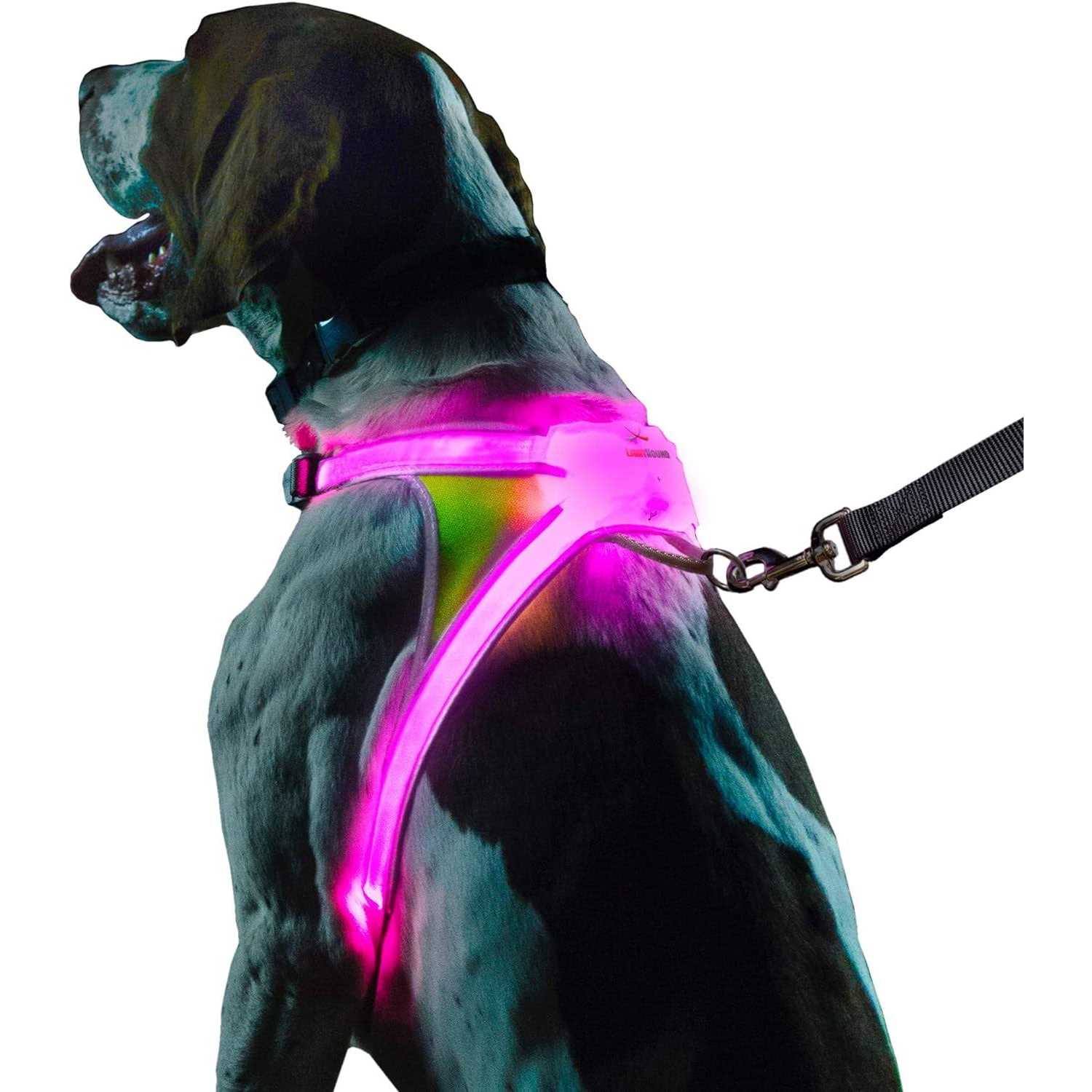 Noxgear LightHound LED Illuminated & Reflective Dog Harness - Healthber