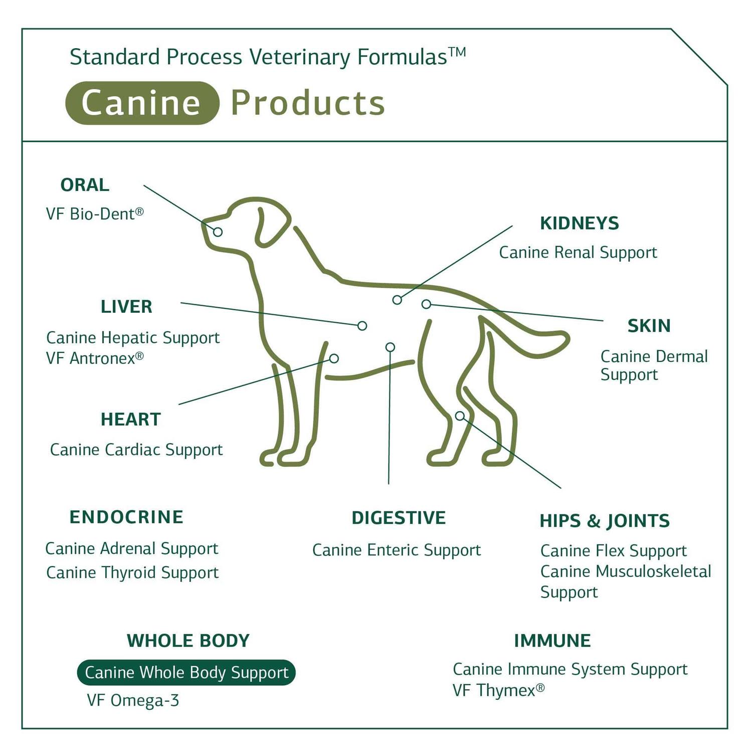 Standard Process Canine Whole Body Support - Healthber