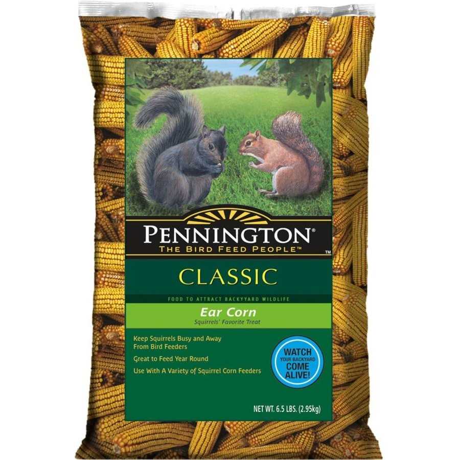 Pennington Classic Whole Ear Corn, Squirrel and Critter Feed - Healthber