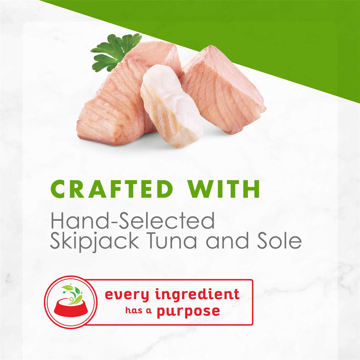 Fancy Feast Cat Food Wet Appetizers Skipjack Tuna - Healthber