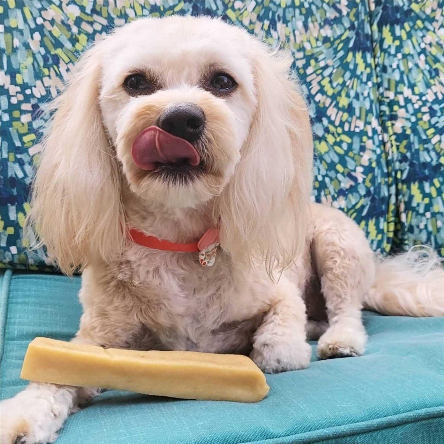Paw Love Cheesy Dog Chew - Healthber