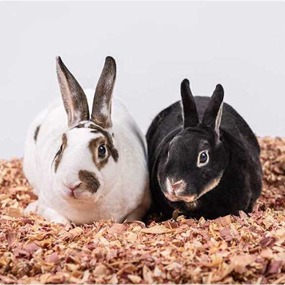 PetsPick Kiln Dried Red Cedar Bedding - Healthber