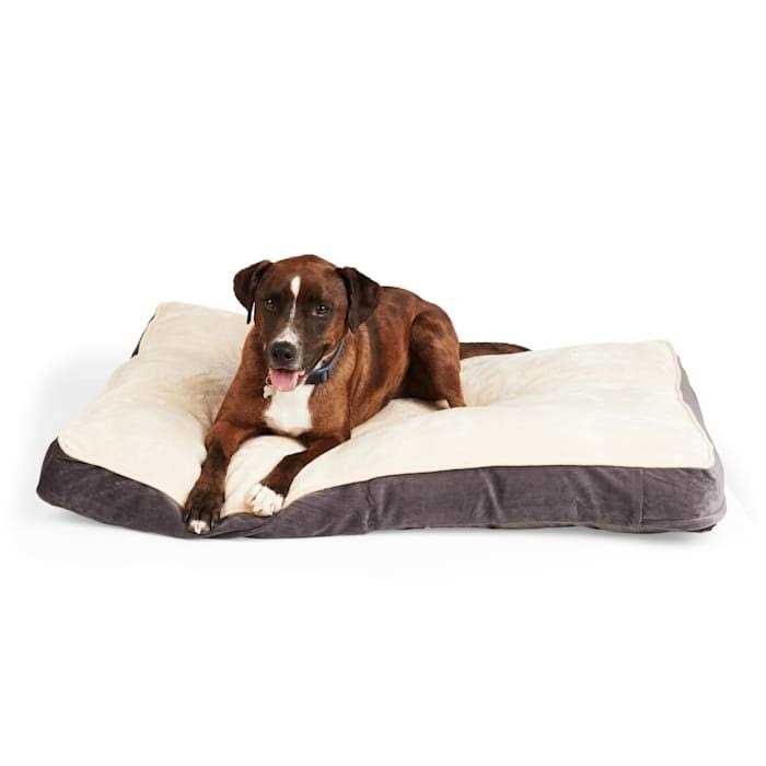 EveryYay Essentials Snooze Fest Lounger Dog Bed - Healthber