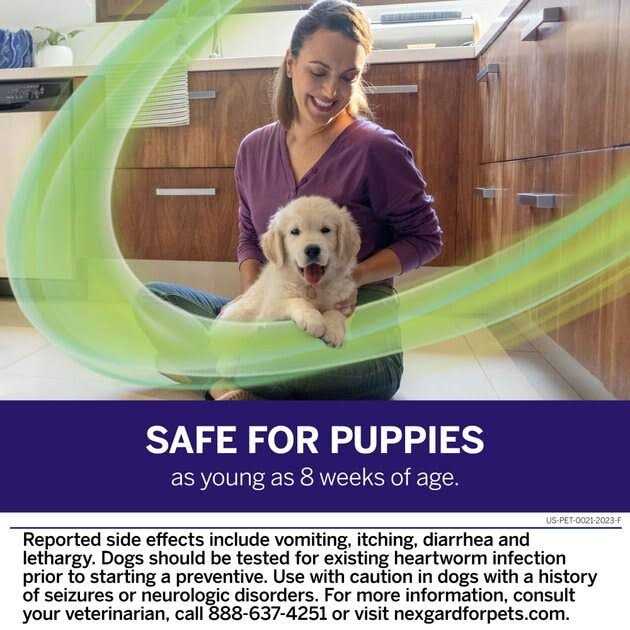 NexGard Plus Chew for Dogs - Healthber