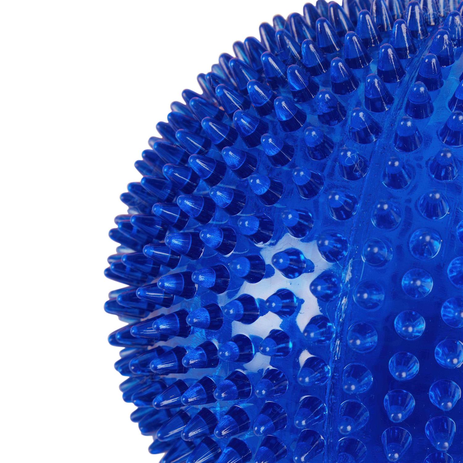 Leaps & Bounds Spiny Ball Dog Chew Toy - Healthber