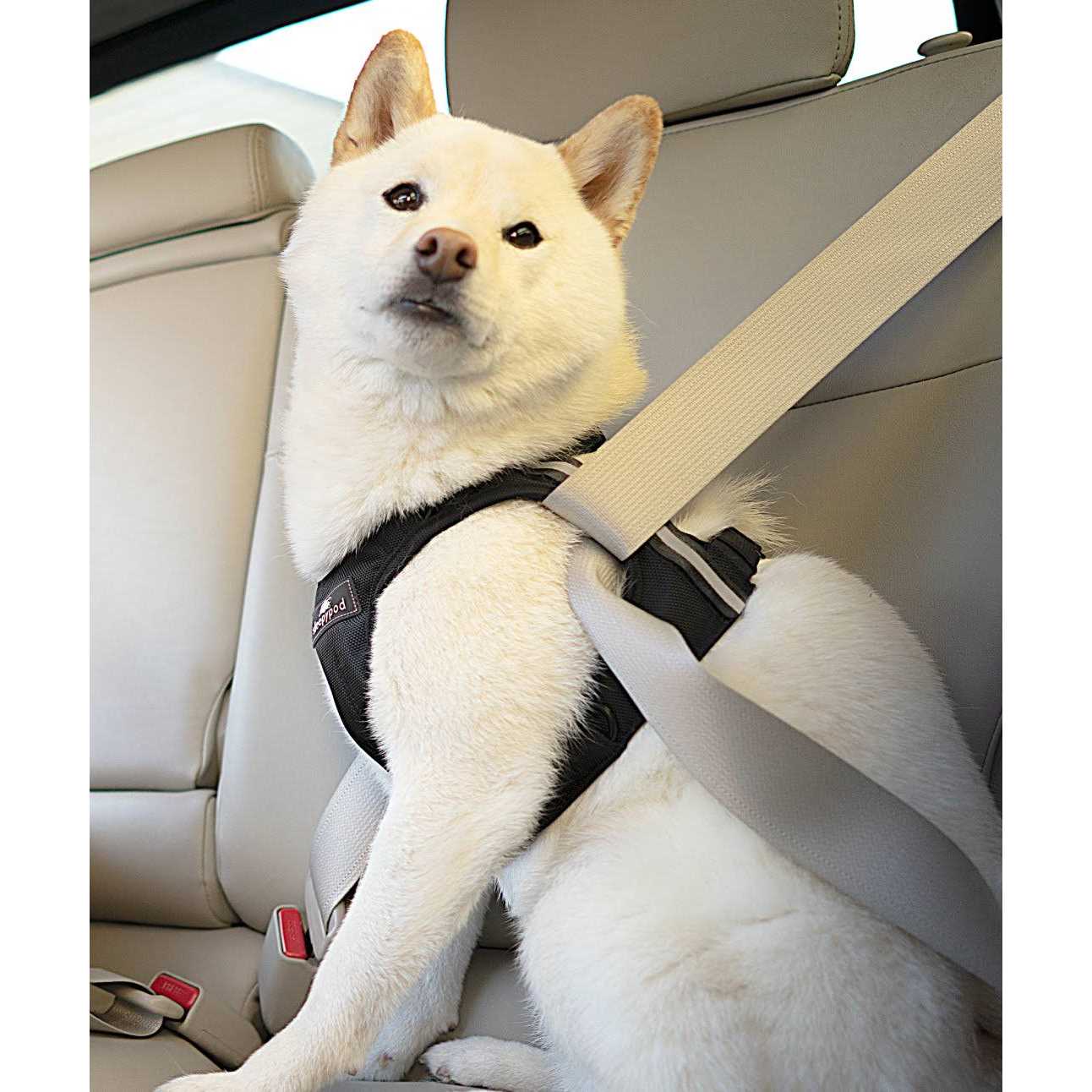 Sleepypod Clickit Terrain Safety - Healthber