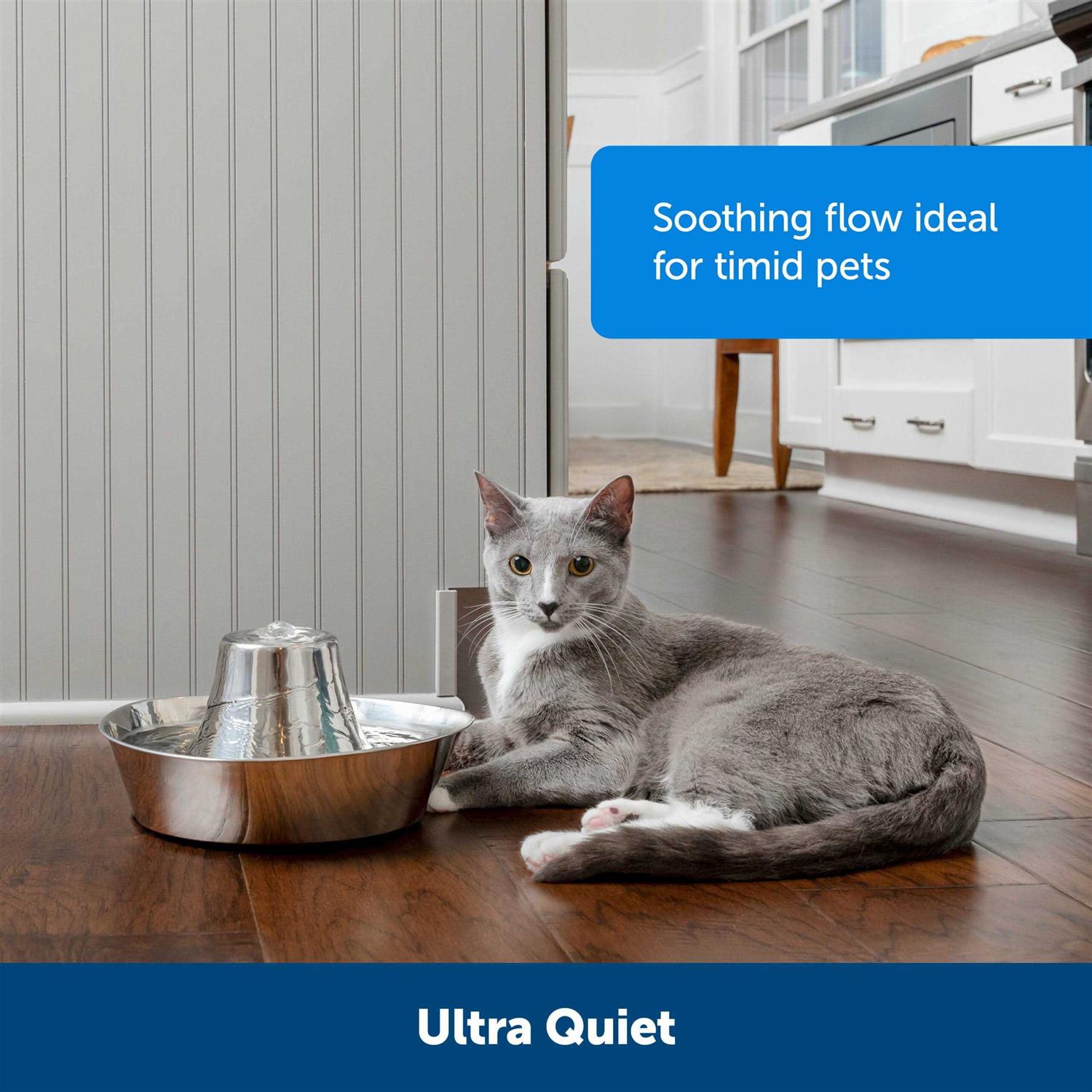 PetSafe Seaside Stainless Pet Fountain - Healthber