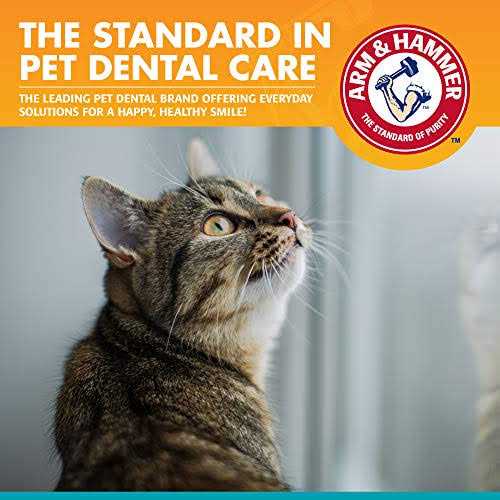 Arm & Hammer Fresh Breath Dental Kit for Cats - Healthber
