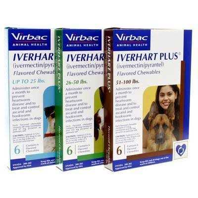 Iverhart Plus Flavored Chewables for Dogs 51-100 lbs - Healthber