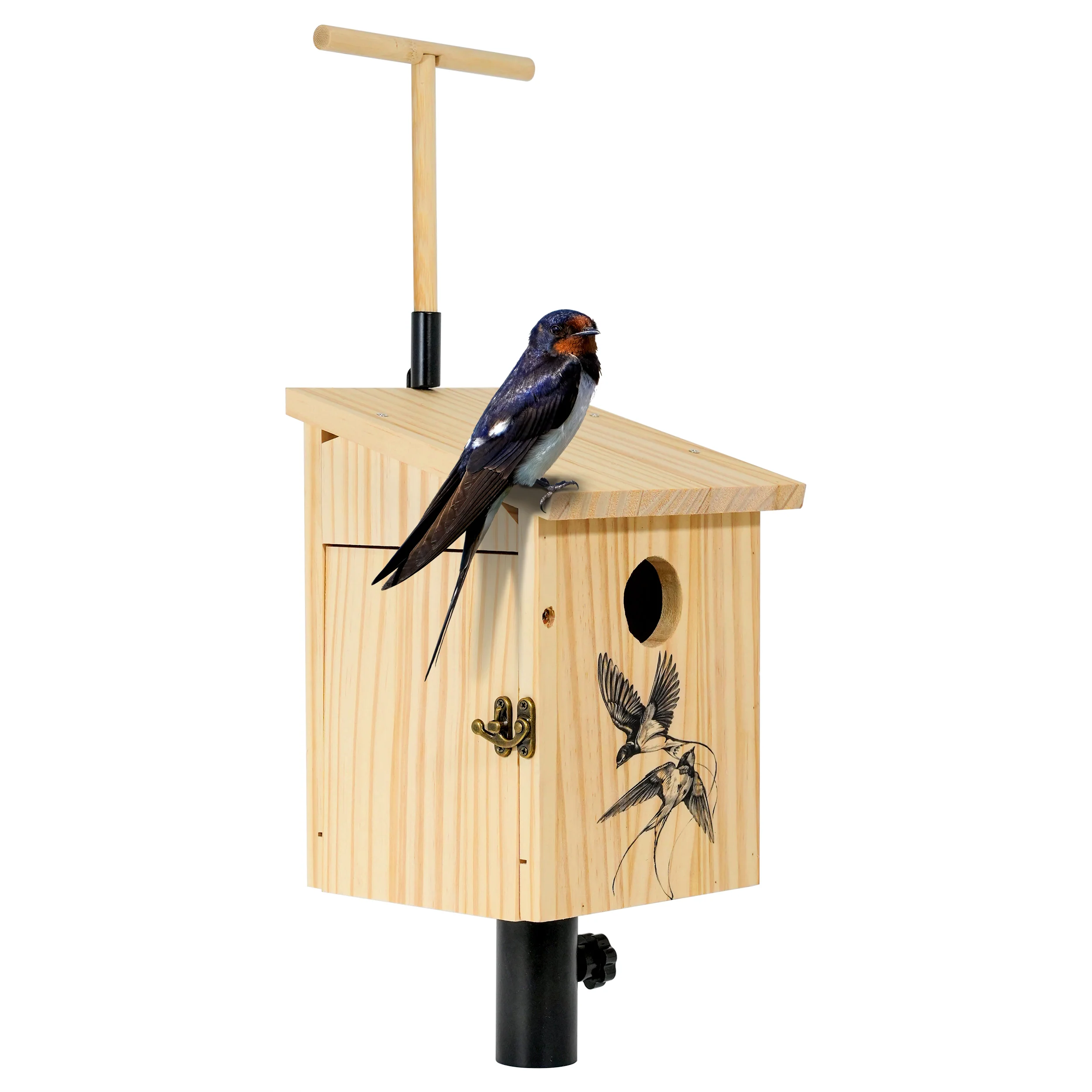 Tree Swallow House - Healthber