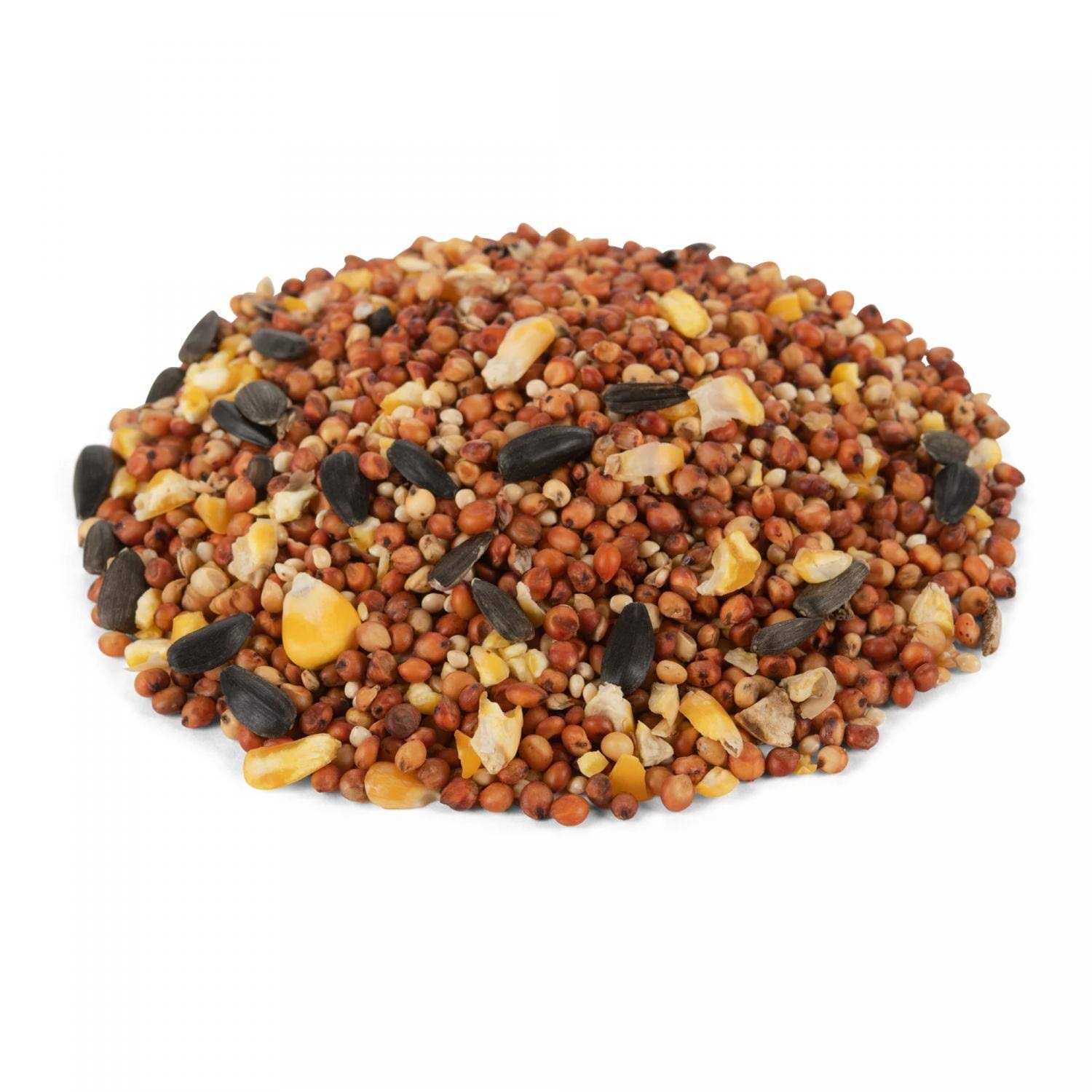 Global Harvest Foods Economy Mix Wild Bird Feed - Healthber