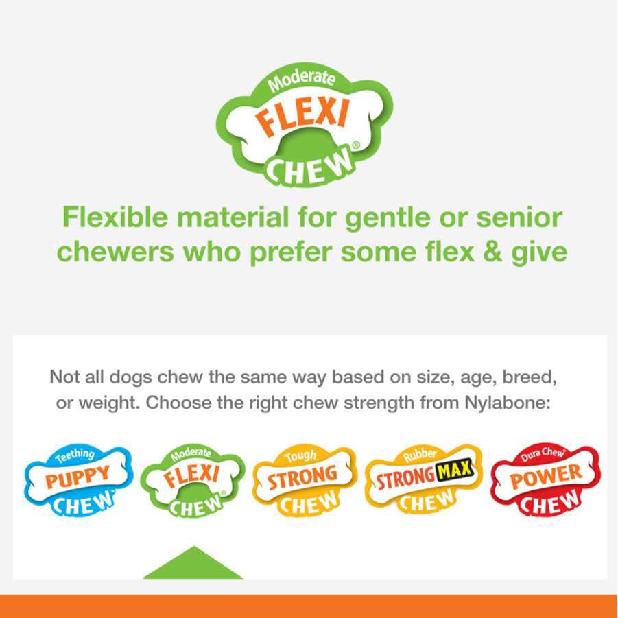 Nylabone Dental Chew - Healthber