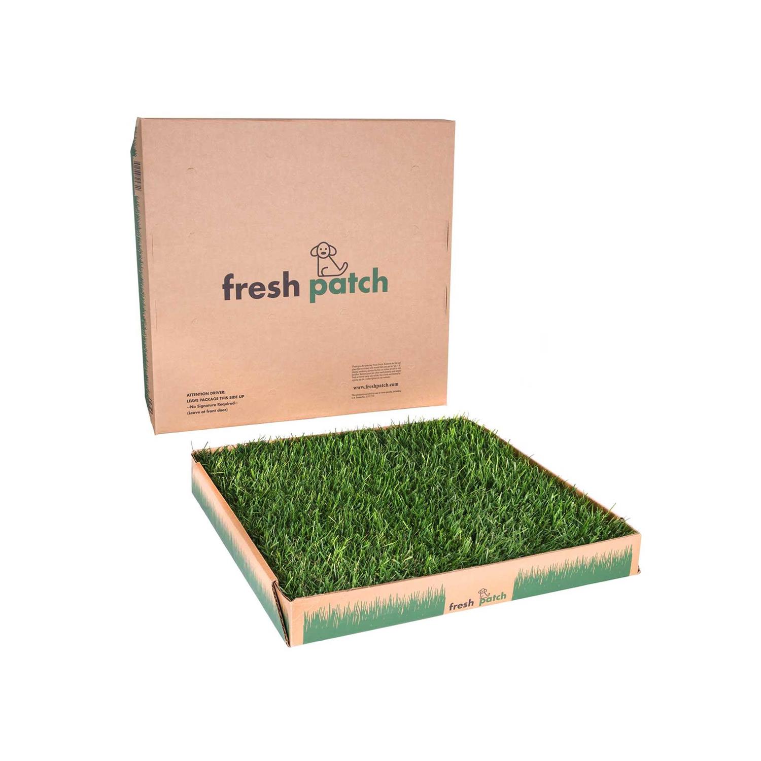 Fresh Patch Large Real Grass Pee and Potty Training Pad for Dogs between 15 and 30 pounds - Healthber