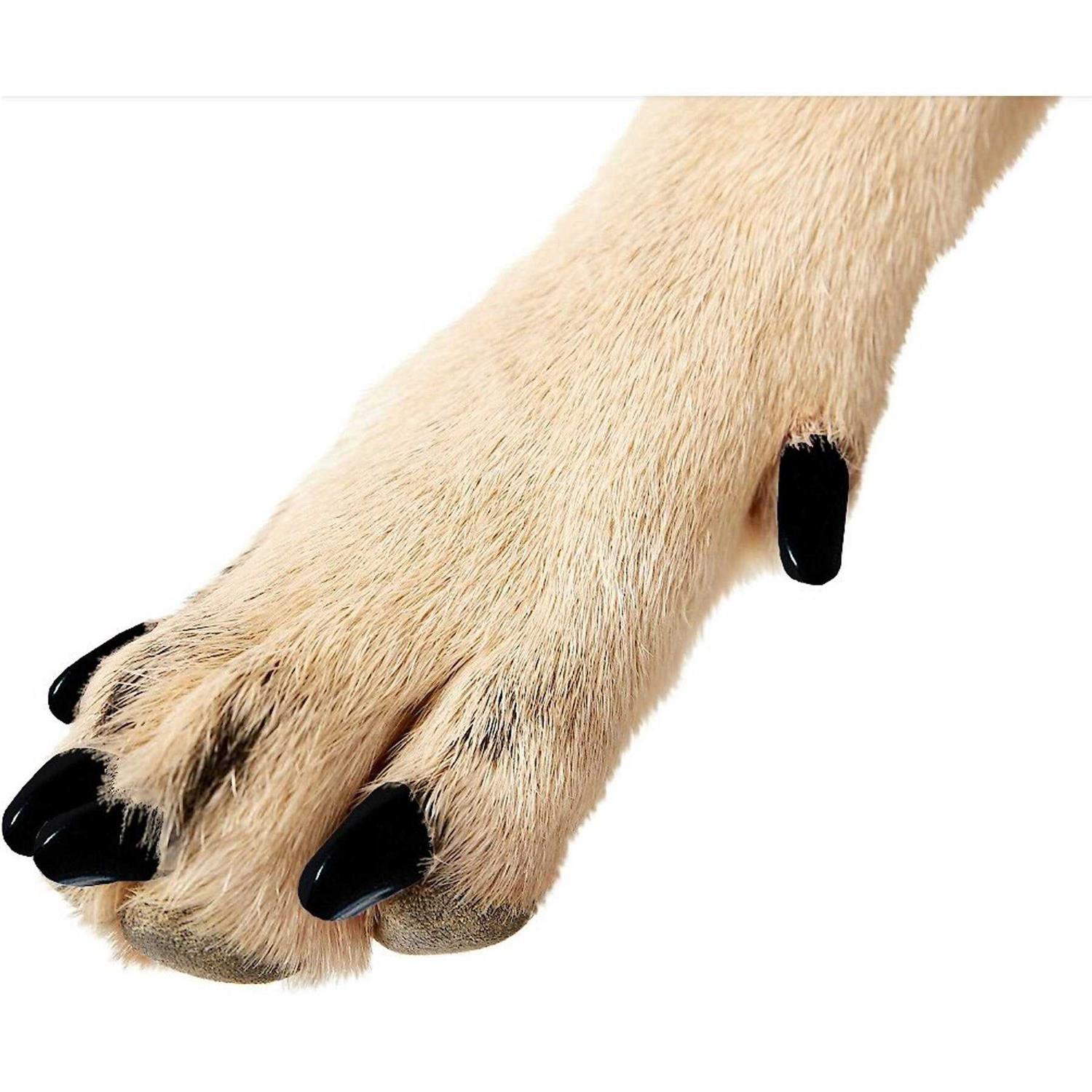 Purrdy Paws Soft Nail Caps for Dogs - Healthber