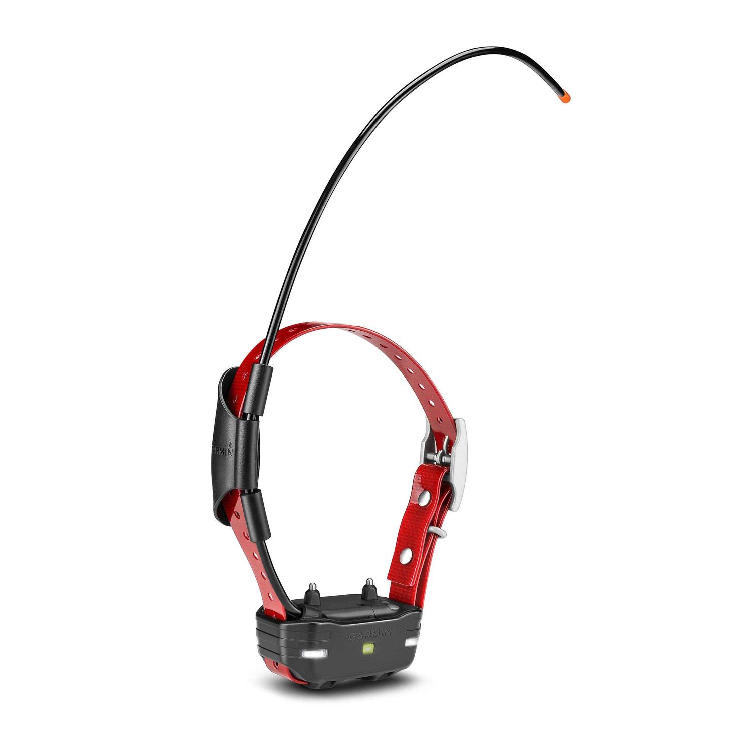 Garmin TB 10 Dog Device - Healthber