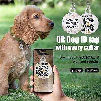 Bronzedog Rolled Leather Dog Collar with QR ID Dog Tag Round Personalized Collars for Small Medium Large Dogs Puppy Cat - Healthber