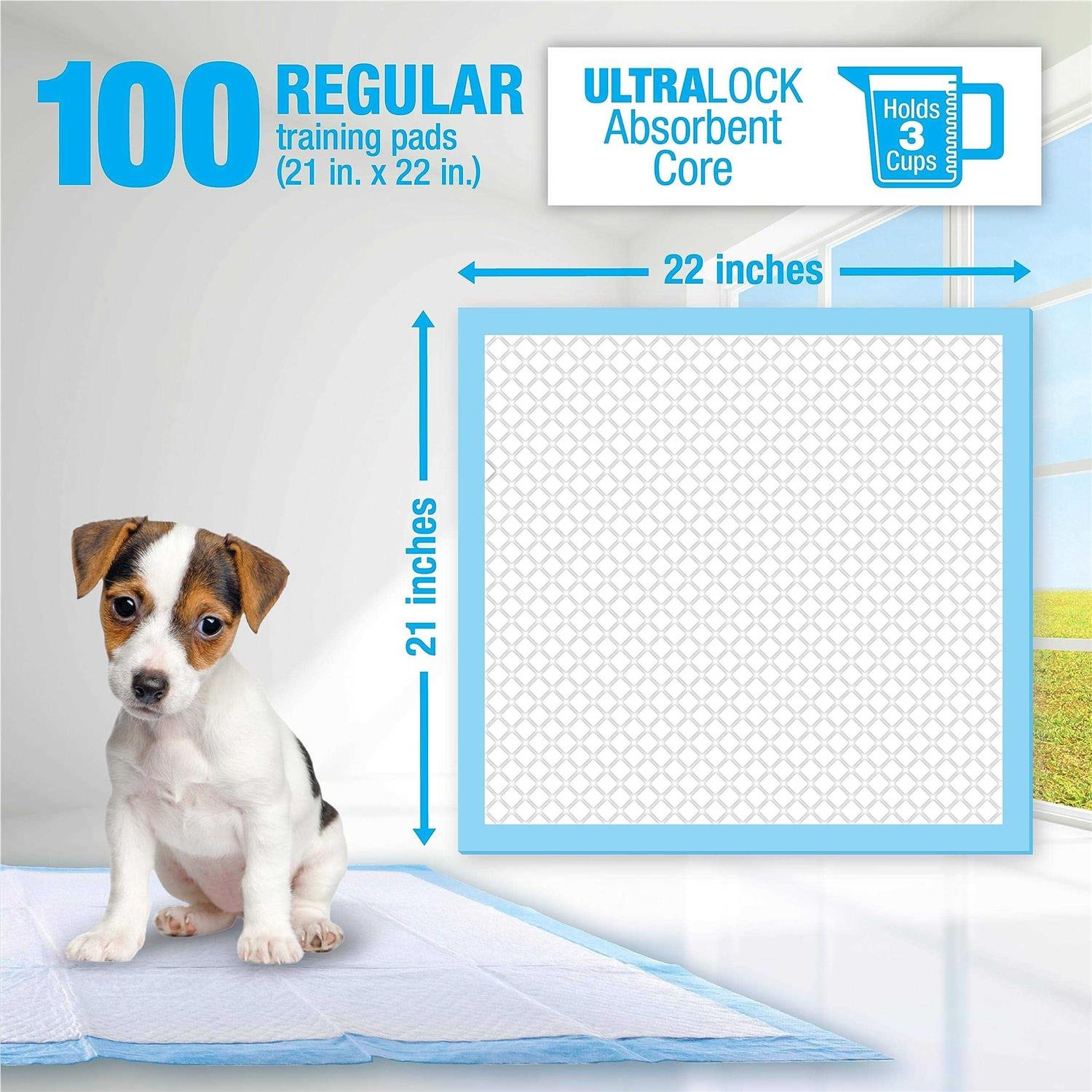 Ruffin’ It Lil Squirts Training Pads - Healthber