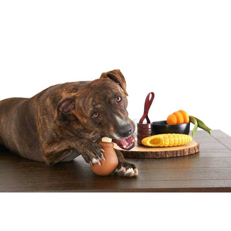 Barkbox Super Chewer Tough Dog Toys - Healthber