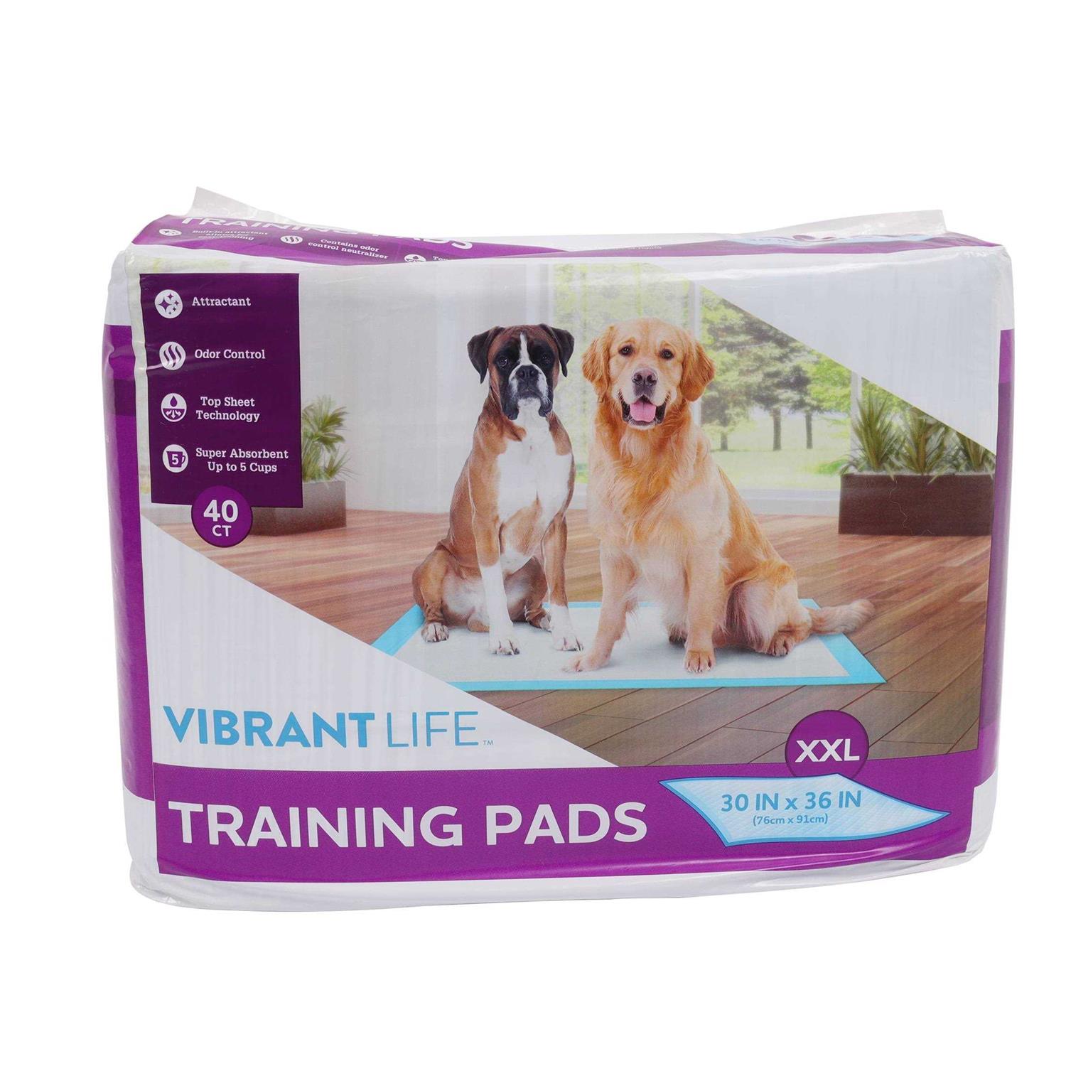 Pet All Star XXL Training Pads Dog housebreaking Pads - Healthber