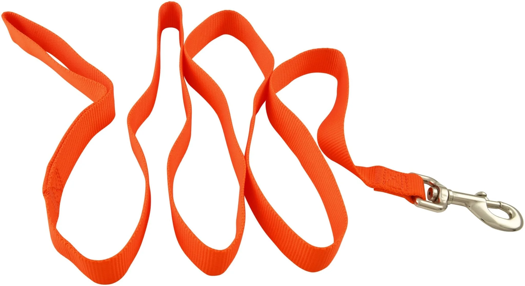 Web Nylon Dog Leash, 5/8