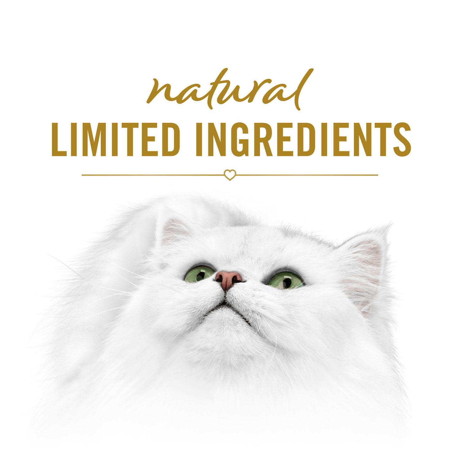 Fancy Feast Savory Puree Pouches - Healthber