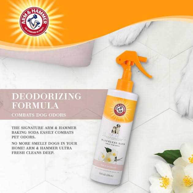Arm & Hammer Ultra Fresh Waterless Bath Spray with Cucumber & White Tea - Healthber