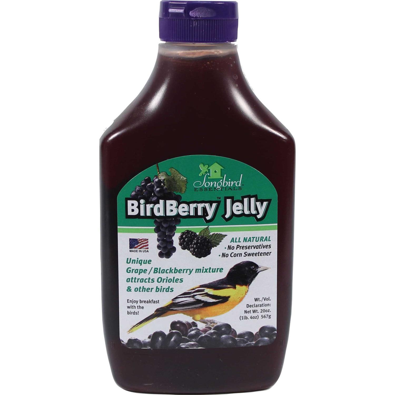 Songbird Essentials Birdberry Jelly 20 oz - Healthber
