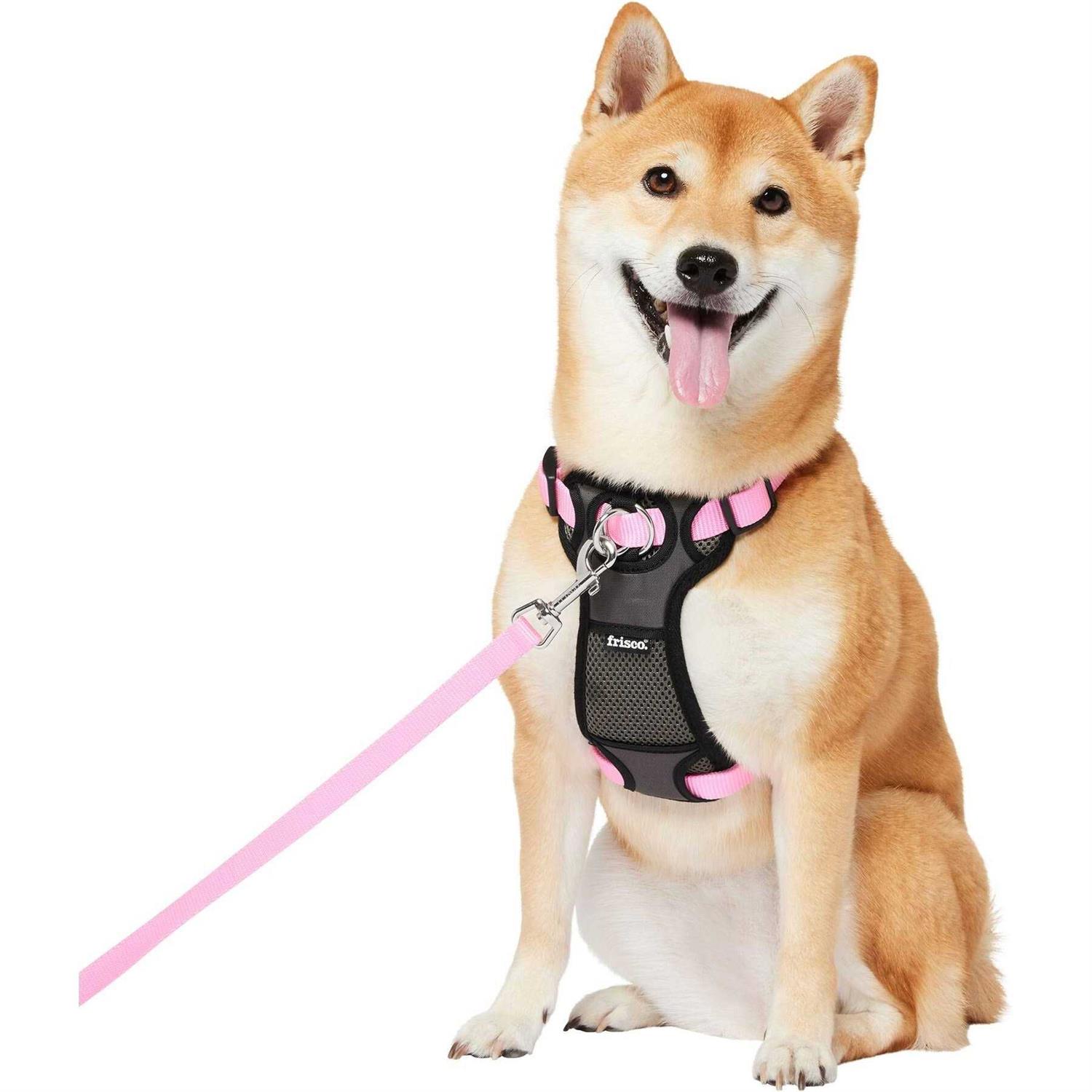 Frisco Padded Nylon No Pull Dog Harness - Healthber