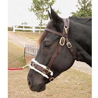 Lunging Cavesson with Fleece-lined Nose for Horses, 800-1200 lbs - Healthber