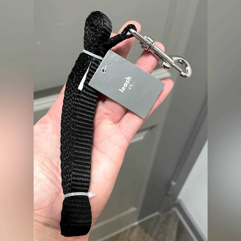 Pet Champion 4′ Metal Standard Dog Leash - Healthber