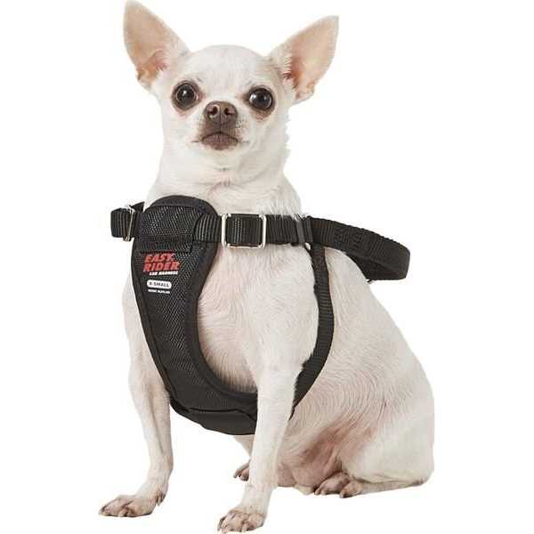 Coastal Pet Easy Rider Car Harness - Healthber