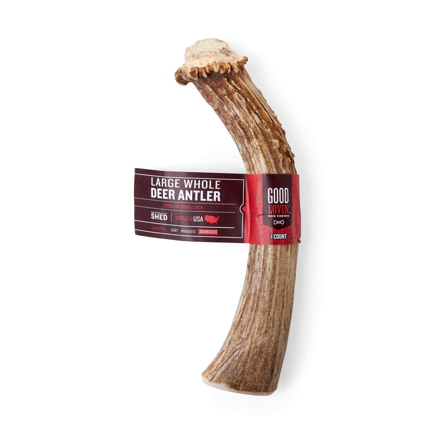 Good Lovin’ Naturally Shed Whole Deer Antler Dog Chew - Healthber